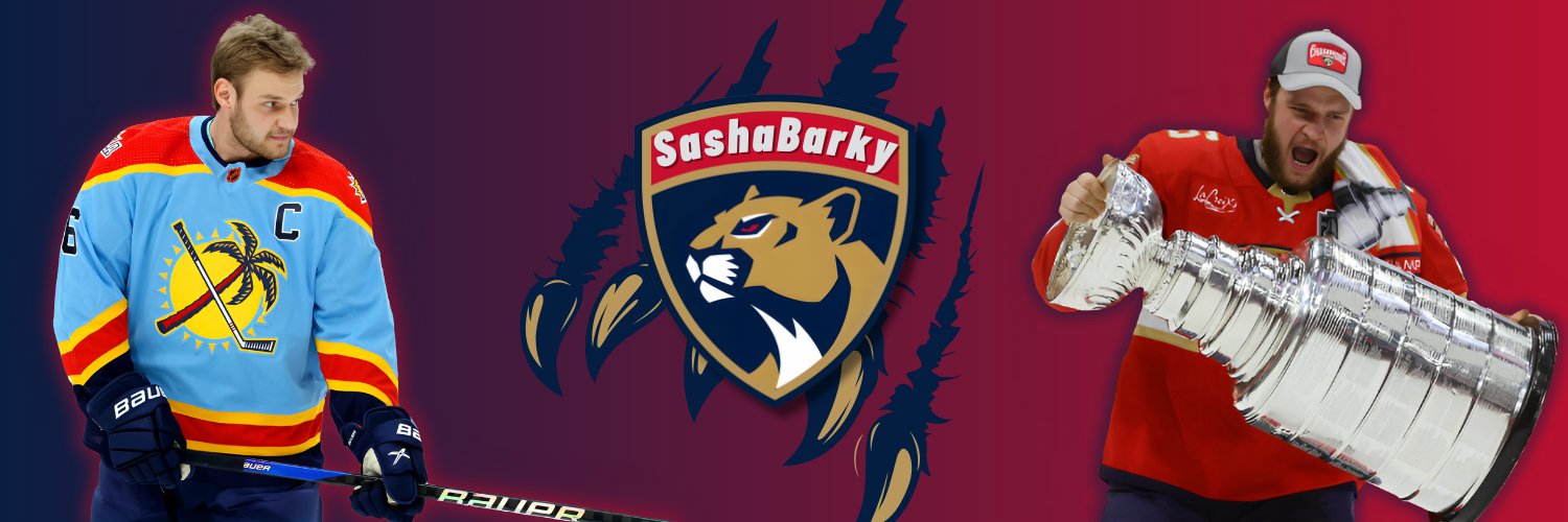 SashaBarky's banner