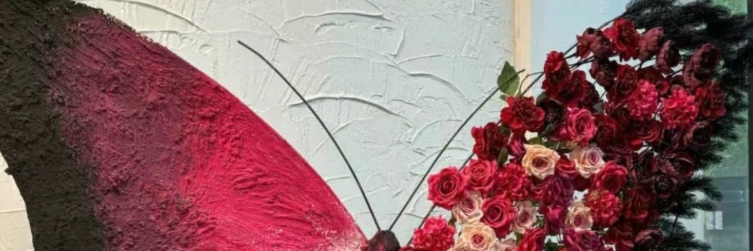 奈宝baby's banner