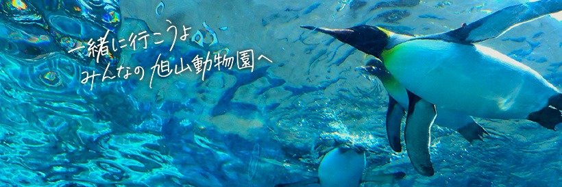 旭山動物園くらぶ's banner