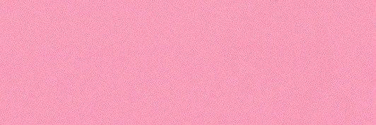 ꒰ა Birdie ໒꒱'s banner