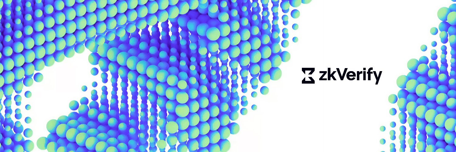 zk V e r i f y's banner