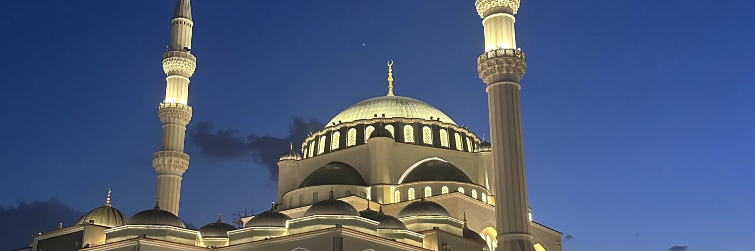 Ismail Zly's banner
