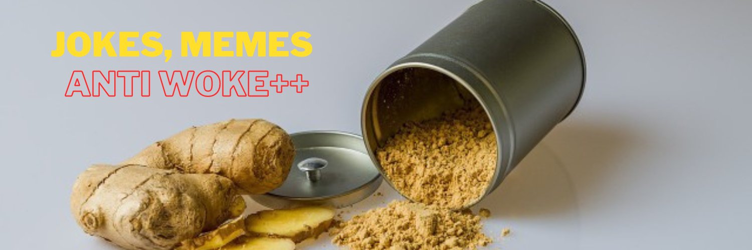 Spicy memes's banner