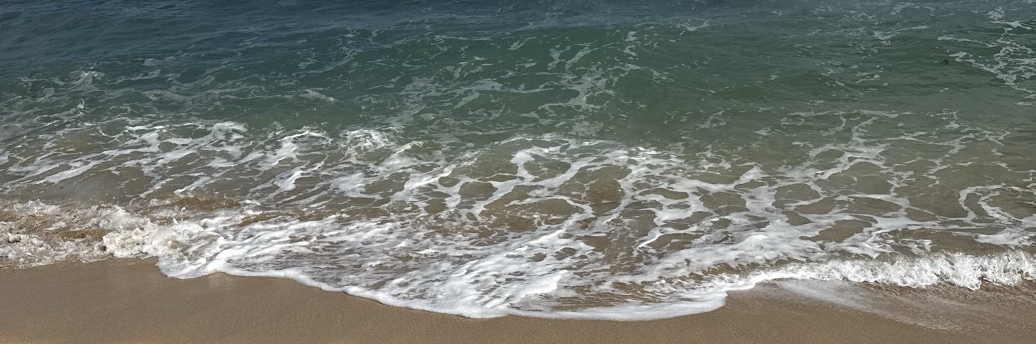 Novanoodle's banner