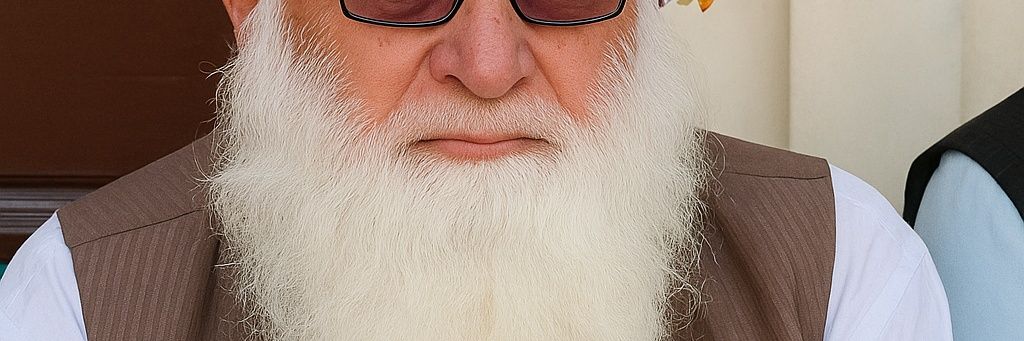 Gull BaBa's banner