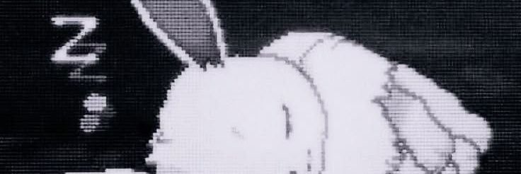 arraa⋆𐙚's banner