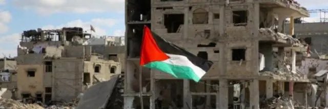 𝒟𝓇. 𝐸𝓂𝒶𝓃🇵🇸's banner