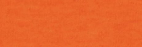 비캅's banner