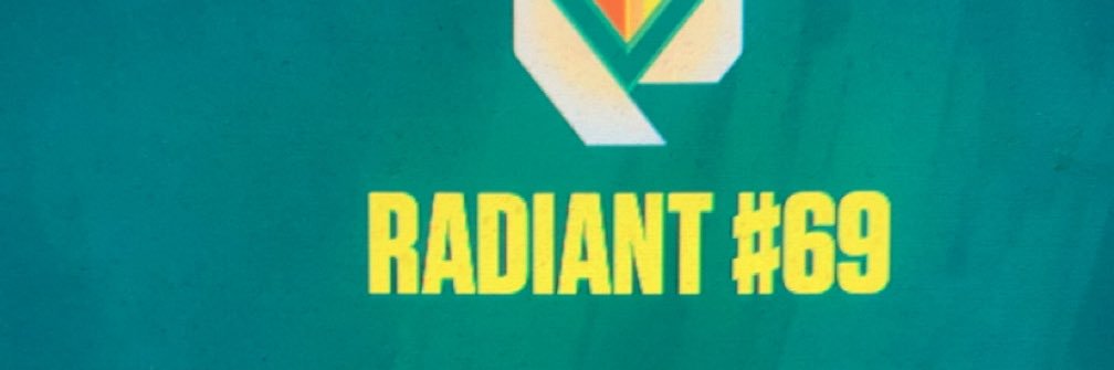 z's banner
