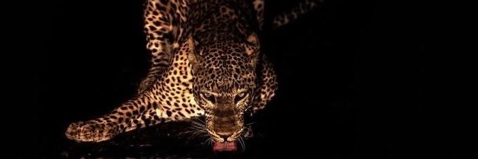 ɴ. 𖤐🫦's banner