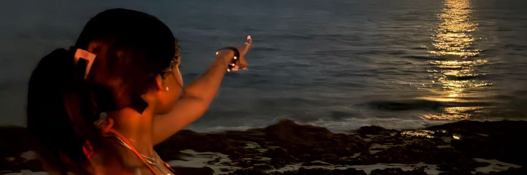 lily¿'s banner