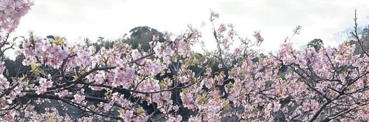 今日のお供's banner