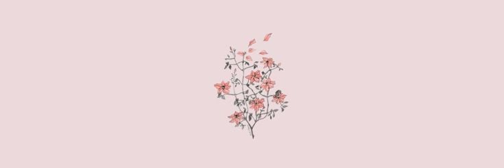 Lucia Sparkle's banner