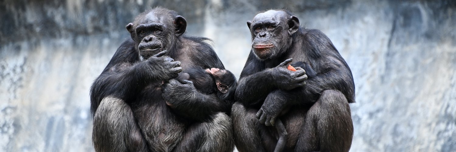 Los Angeles Zoo's banner