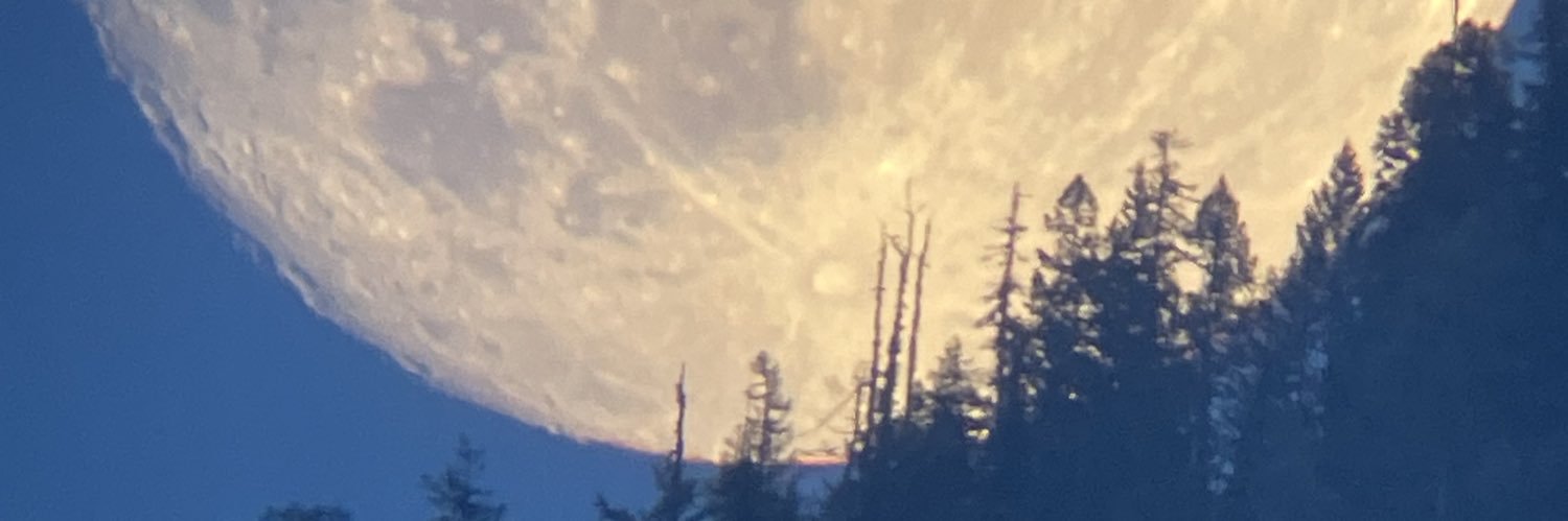 Mathsboi42's banner