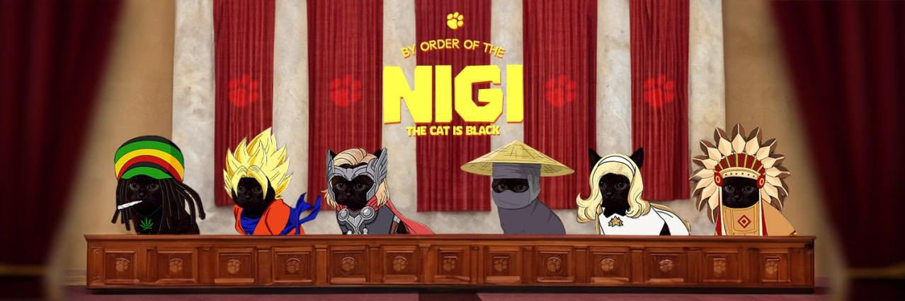 $NIGI's banner