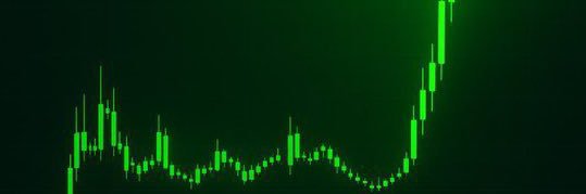 XDmnnn不淡's banner