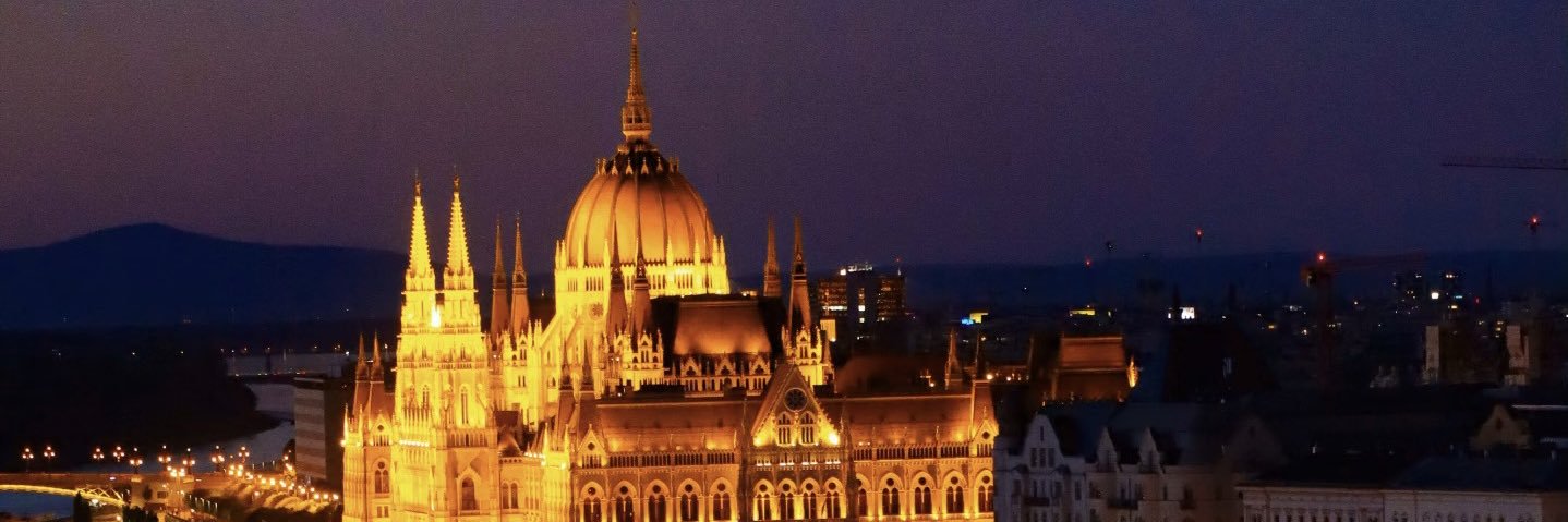 vina in Budapest's banner