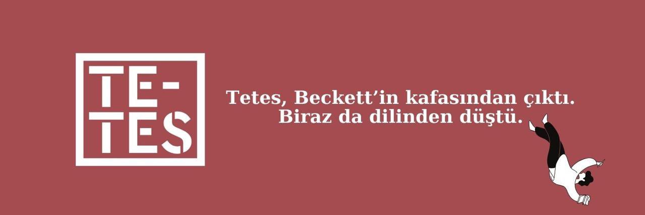Tetes Kitap's banner