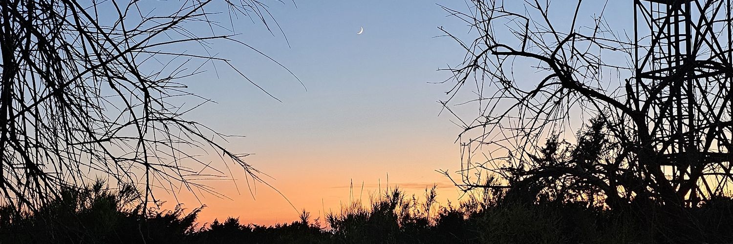 JonnyMarmo's banner