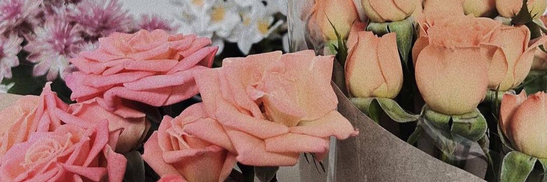 小辣椒🌶️'s banner