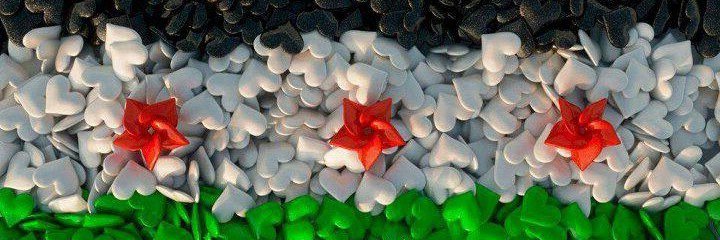 2 Dr Nagham AlHafez د: نغم الحافظ's banner