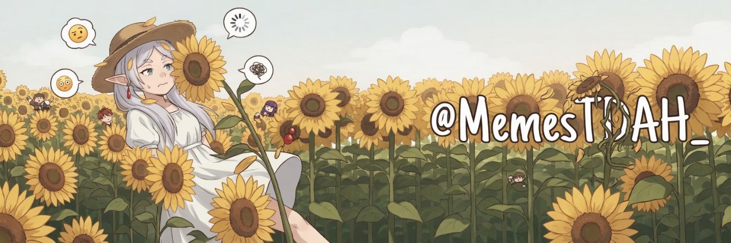 Memes TDAH ✨'s banner