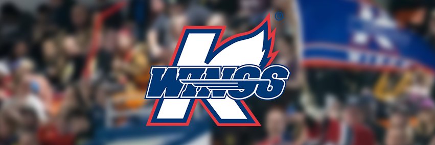 Kalamazoo Wings's banner