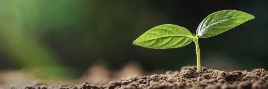 HakLy 🌱's banner