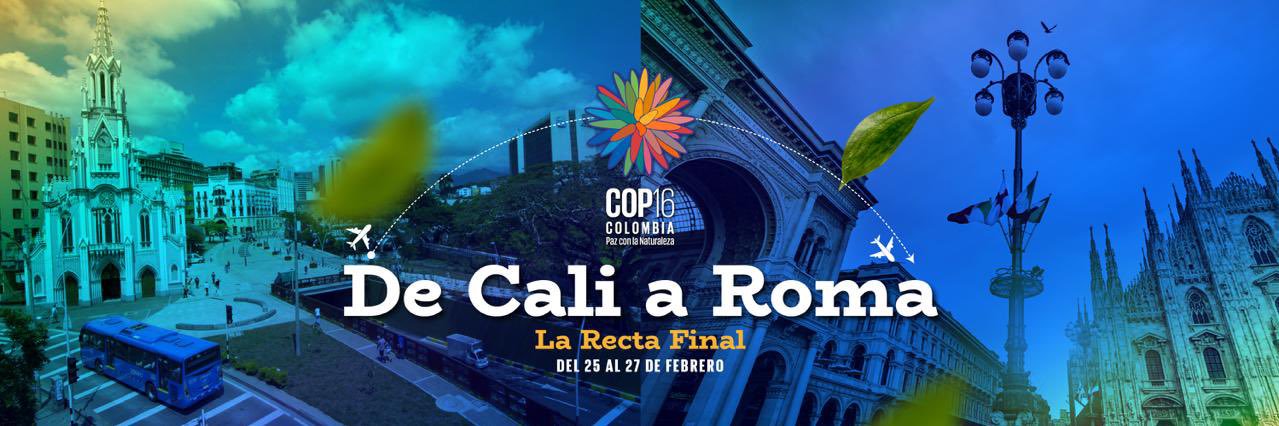 COP16 COLOMBIA 🇨🇴's banner