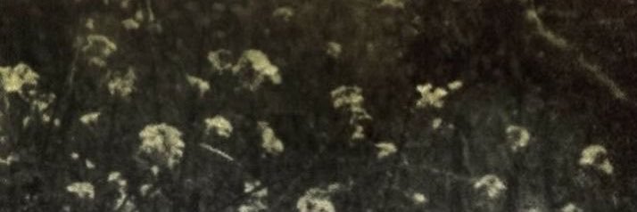 thomas's banner