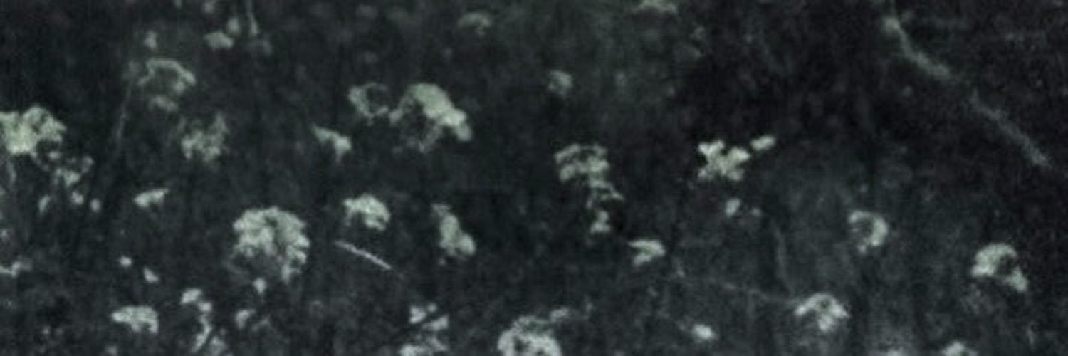 thomas's banner