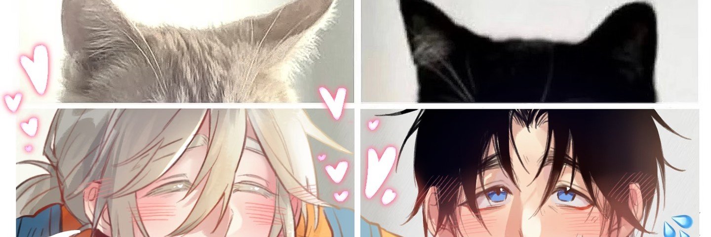 大乱😿's banner