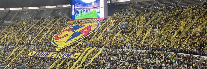 Rodrigo Tweets's banner