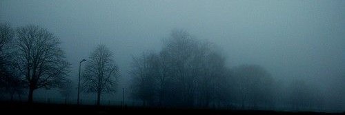 `'s banner