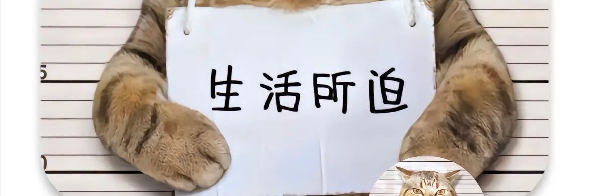 贰柒拾六胡's banner