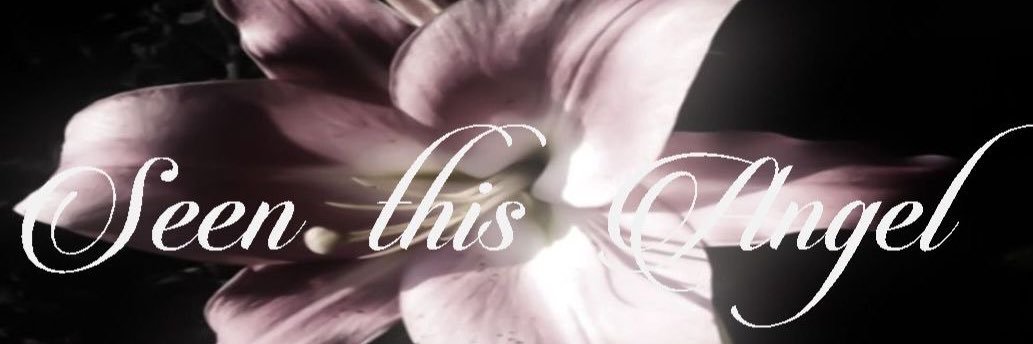 𓏲ּ𝄢cassie's banner