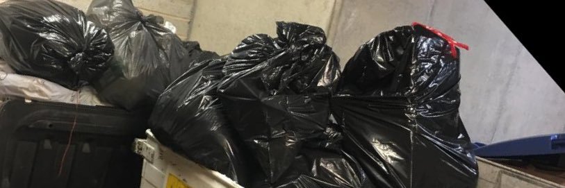 Trashmistress's banner