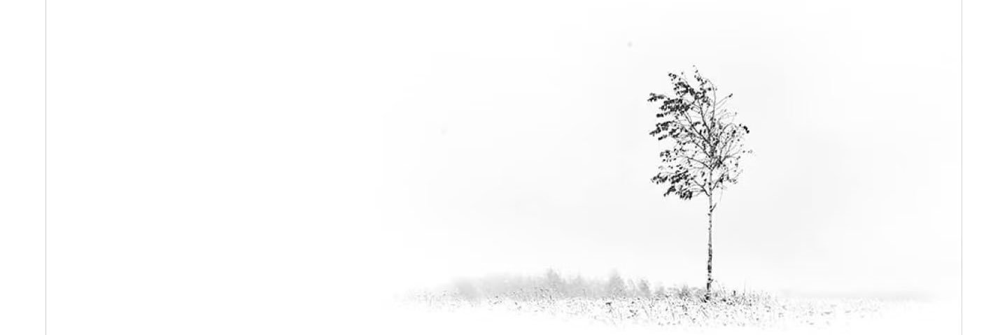 小悠大人's banner
