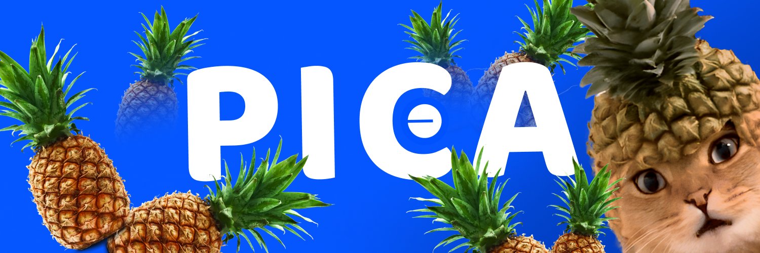 Pineapple Cat's banner