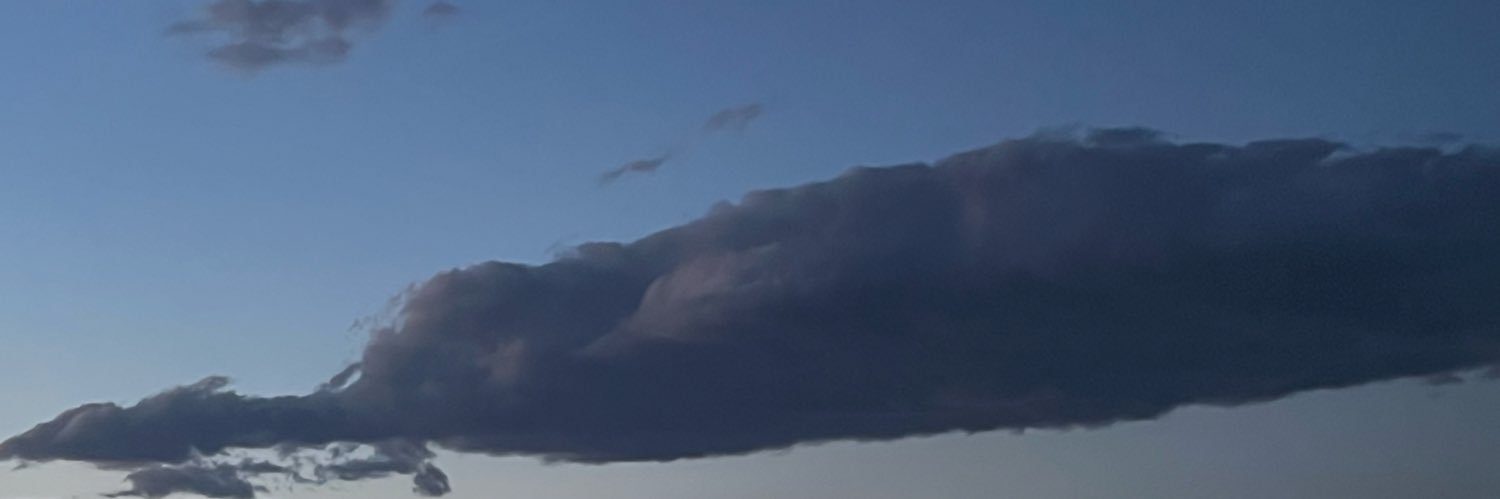 ecey ༯'s banner