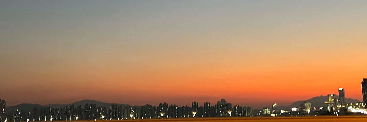 sky's banner