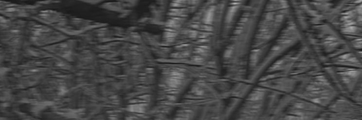 ♤ shadow ♤'s banner