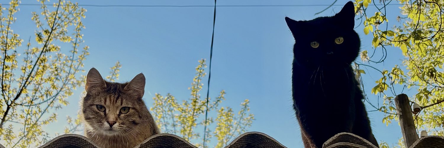 девушка с побочками's banner