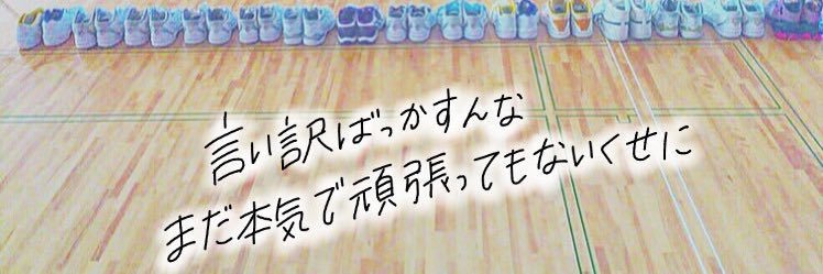 碧ちゃん（あおちゃん）'s banner