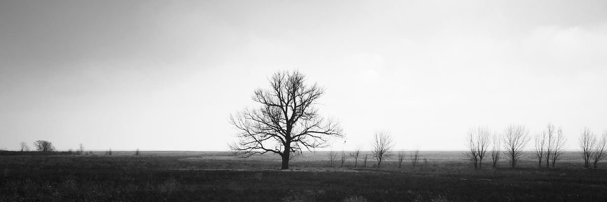 ِ's banner