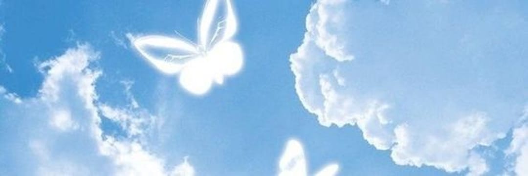 Alejandra Quijada's banner