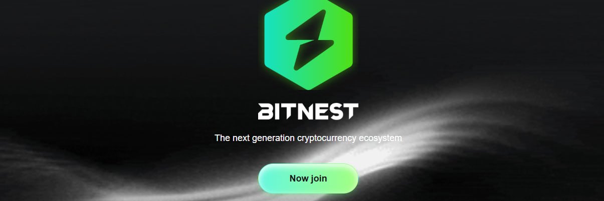 BitNest's banner