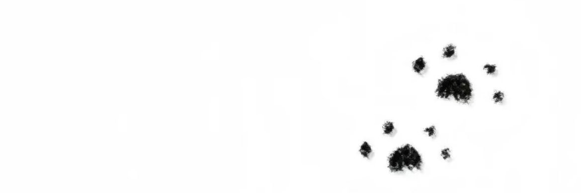 77's banner