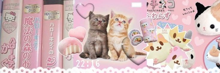 SƚɾαɯႦҽɾɾყ ƈαƙҽ ʚ🍓ɞ's banner